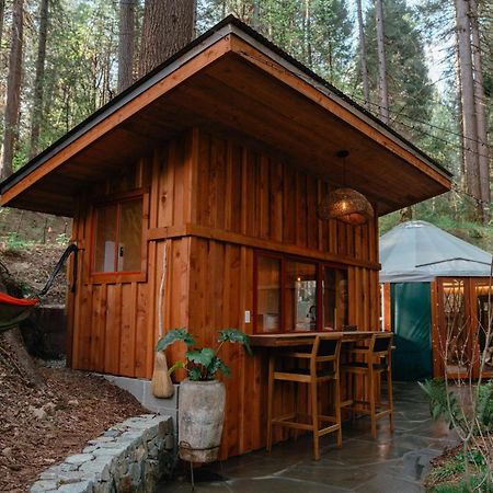 Magical Yurt In The Woods - 2 Miles From Town Hotell Nevada City Exteriör bild