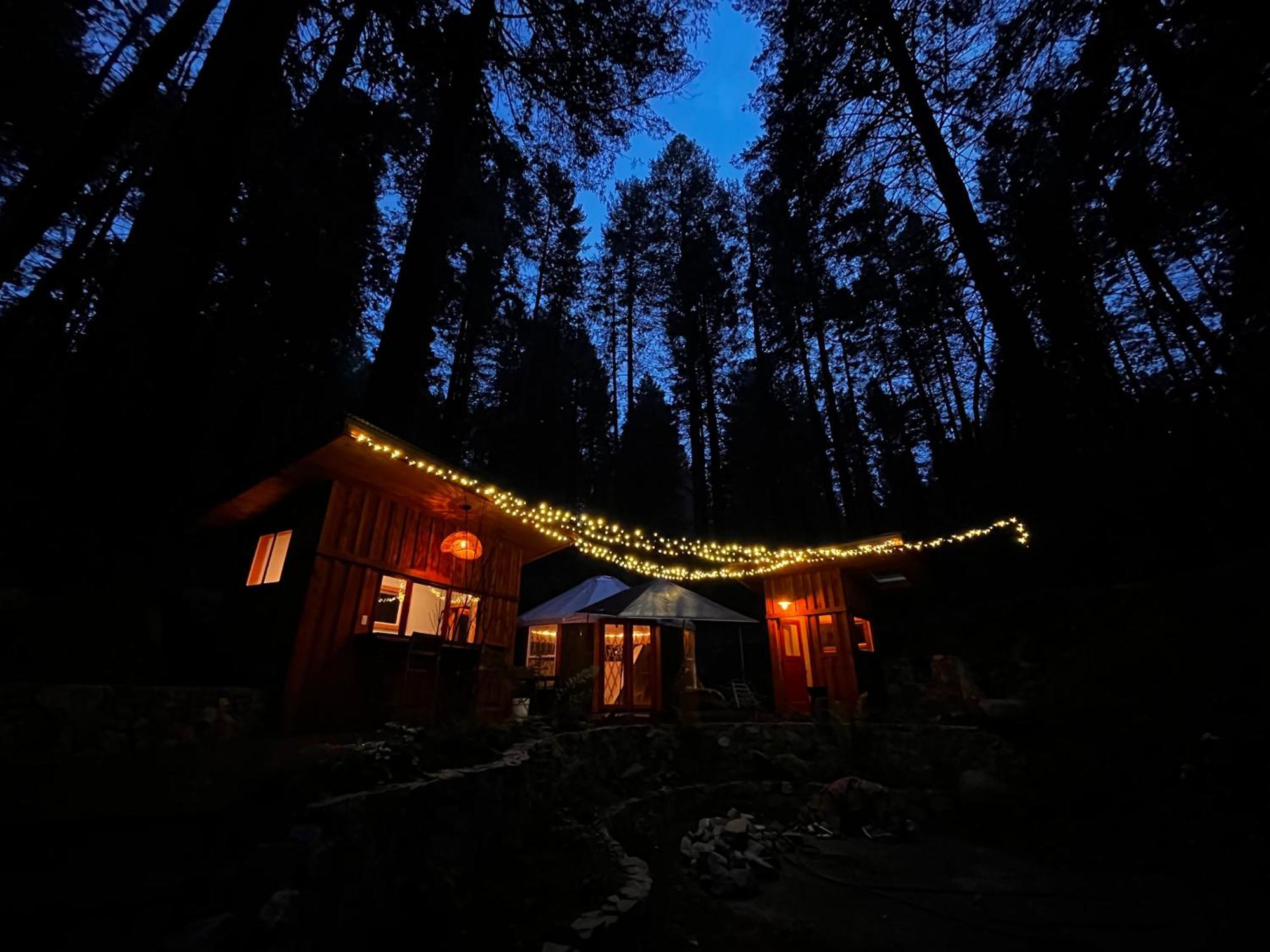 Magical Yurt In The Woods - 2 Miles From Town Hotell Nevada City Exteriör bild
